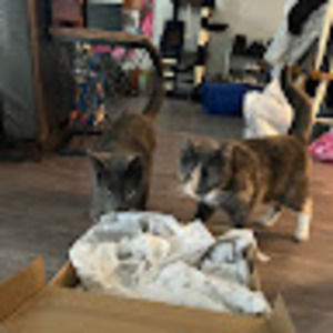 Meet your Posher, Emma